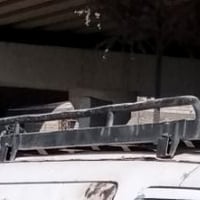 سلة بريجو • بصرة حيانية • البيع مكاني