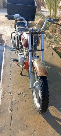 دراجة 5گير • كلك شرط • الديوانية الشامية