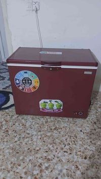 مجمدة • عاطلة • نوال