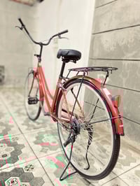 باسكل • نضيف • كربلاء حي الحر