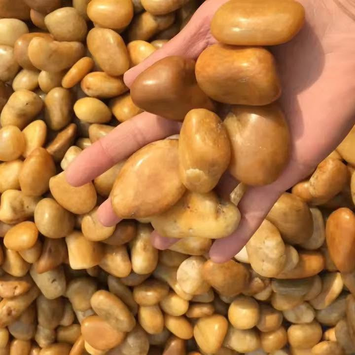 سوق الديكور
✨ حصى طبيعي فاخر – لمسة جمال لكل مكان ✨

متوفر بأحجام متعددة
مثالي للحدائق، الديكور الخارجي، والمساطب
جودة عالية تتحمل كل الظروف
توصيل سريع لكل المحافظات

اجعل مساحتك تتألق مع الحصى الطبيعي 🌿💎

📍 العنوان: كربلاء – نهاية حولي سيد جوده، مجاور مدينة ألعاب ضوء القمر
🕒 الدوام: من 7:30 صباحًا إلى 10:00 مساءً

📞 رقم المكتب: ***********
🚚 رقم التوصيل: ***********
