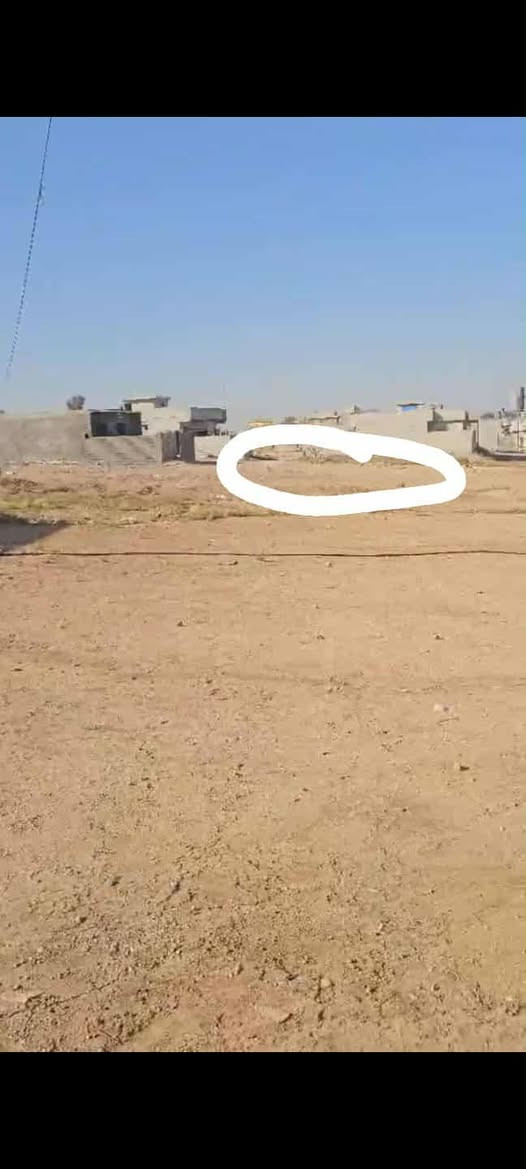 #
للبيع ارض مساحه(200)م مربعه (10)   (20)✔
خدمات ماي كهربأ تبليط تبعد  التبليط 100م✔

#السند زراعي 25 حق التصرف تتكاتب معى شرعي وكاله عامه
وصل تمليك خطين ماي تبعد عن سايدين موصل دهوك 150متر
تبعد عن جسر السادس 80متر ✔

#العنوان قوسيات  مدخل جسر السادس عل يمين ارض مموقع مميز السعر 16مليون وبيها مجال بسيط ✔

#الاستفساراتصال
#كورك***********واتسات  
#اسيا***********واتساب
