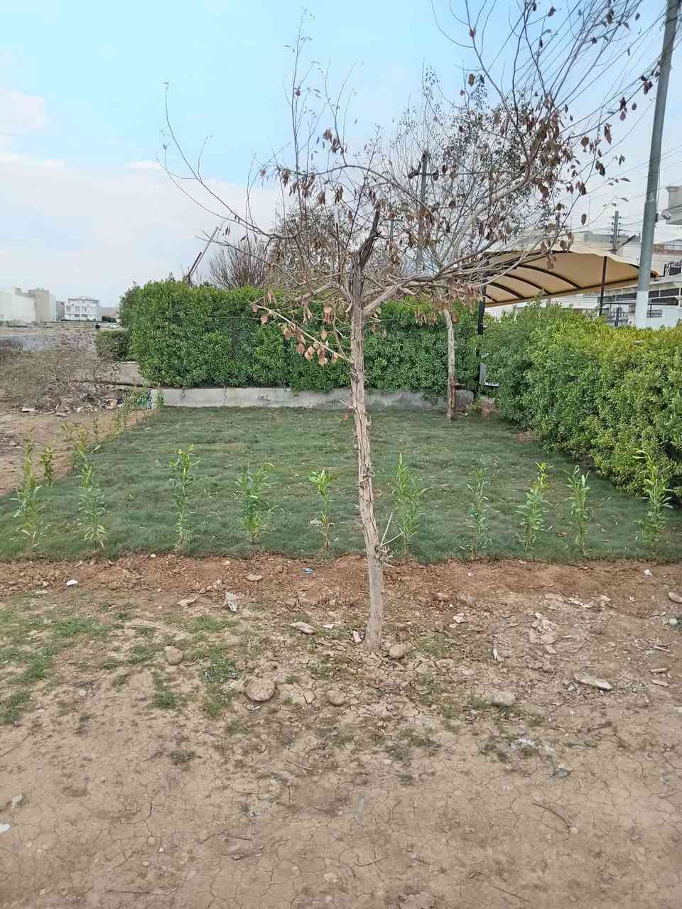 تنظيف حدائق 🪴🌻
تجهيز حدائق 🌷وديكورات حدائق ⛲
للتوأصل وأتساب 
***********
