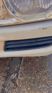 حلال ابو رياض ماشاء الله تشحيم قمر السراي🫆🫆🫆 المشتل قرب مجلس البلدي حر...