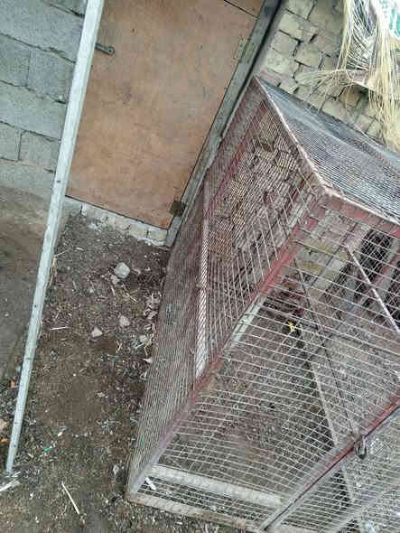 سلام عليكم قفص كبير للبيع العنوان بغداد تقاطع النهروان السعر اتصل الرقم ***********
