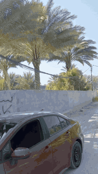 *********** فارس الشمري
