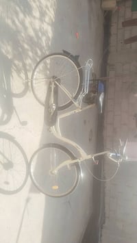 باسكل بطه ياباني • بريكات جديدة • بابل قرب العلويه