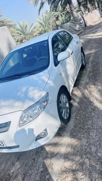 كورلا • ٢٠٠٩ • رقم سليمانية