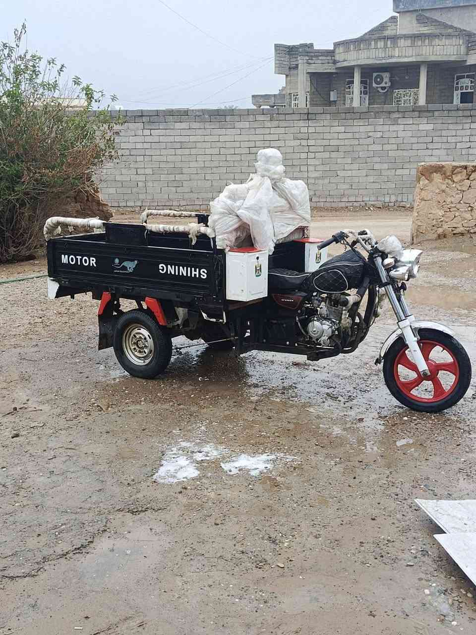 سلام عليكم ستوته فحل شاخوان
موديل ٢١ للبيع محرك ركبه كاردن أكسل شاصي كهربائيات 
سلف باتري هندر كلها شرط الستوته بيها منفيس 
الستوته مهموله يعوزها ترتيب 
ستوته مال بيت مال شغل شوفت عينكم 

بس عندي ضرف وأريد ابيع 
سعرها مليون وربع 
إلي يريدها يخابرني 
خاص ما جاوب مكاني صلاح الدين بيجي المزرعه 

المو شراي لا يعلق 
***********
