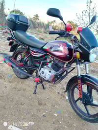 بوكسر ٢٠٢١ • أوراق أصلية • ديالى الخالص