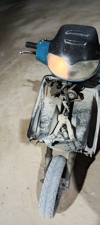 فراشة ياباني • سلف كهربا • كربلاء الغدير