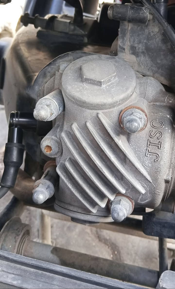 سعر 700 
الرقم ***********

مكان كركوك شورجه
