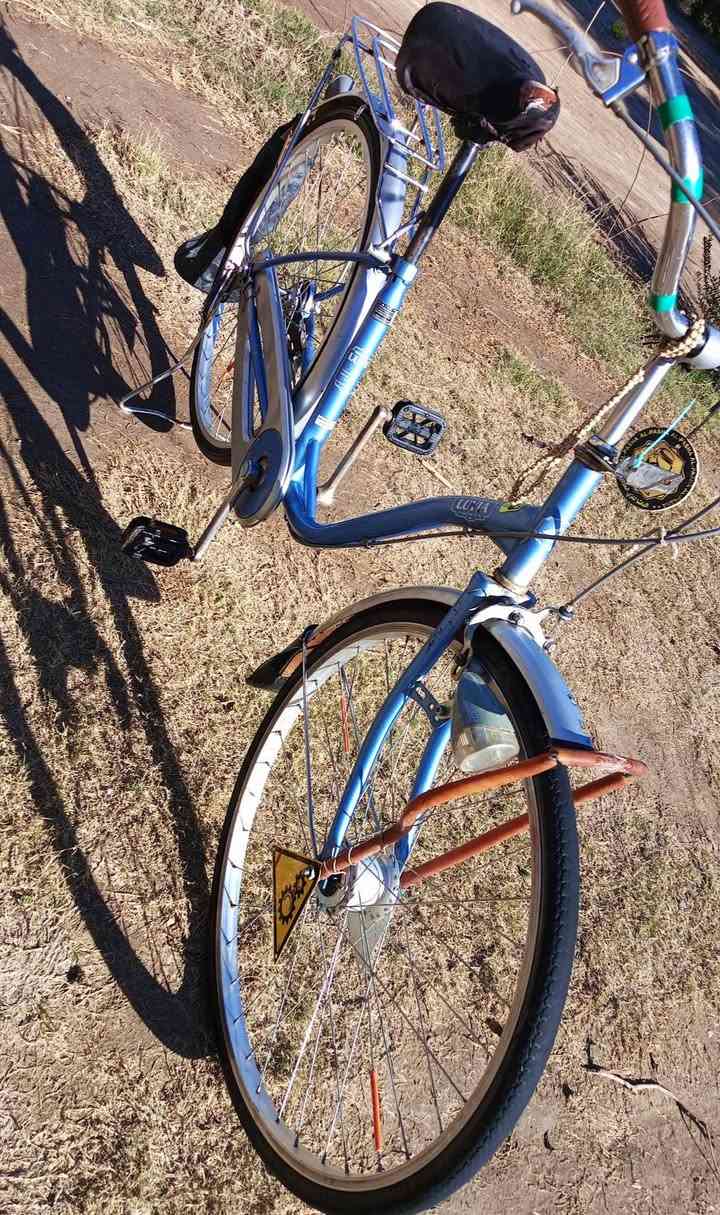 للبيع بايسكل جديد طك كارتون السعر 100بي مجال قليل التواصل مع الرقم ‏‪***********‬‏ الرقم اثير
