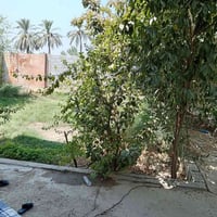 نصف دونم • دارين ٢٦٠م+١٦٠م • سقف صب كونكريت