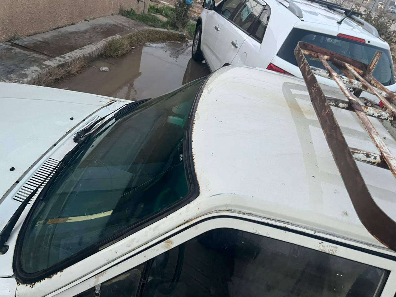 سلام عليكم بيكم للبيع موديل 88 مكينه كروسيده كيره 5نمر بلاد قماره بلام شاصي بلاد طخه جاكوج مابيه على وضع الشركه صدر امامي خلفي جديد مكينه سبانه ما ممدوه عليه كله بلاد  دسكات بانزت كله جديد رقم النكليزي بسمي ثاني يوم تحويل مشروع وطني جديده سياره سعده 40وبيه مجال مكاني ديالى بعقويه رقم *********** ابو مصطفى اللهيبي
