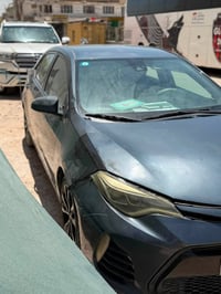 ٢٠١٩ • ماشية ١١٥ • بابل