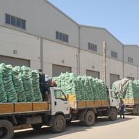 قطع فيرنا • تايوان • جملة