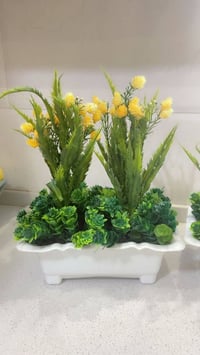 زرع صناعي • وزن ثقيل • بايركسات حراري