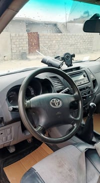 مرزيا • ٢٠٠٨ • صبغ عام