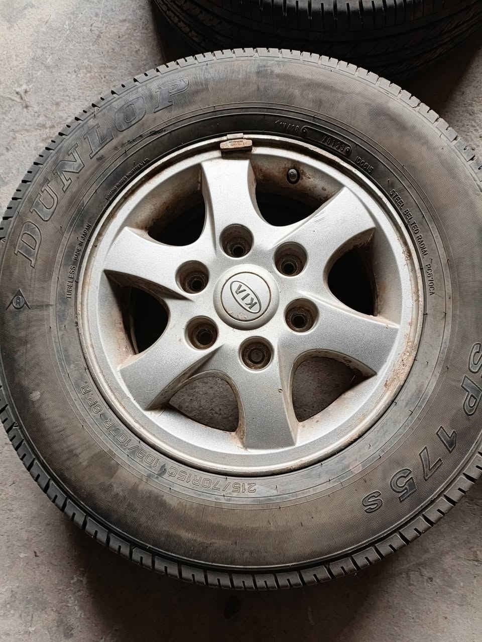 تخم ويل كب بريجو حاويه مع    تاير ياباني موديل 2023
سعرهن 500 قفل اسعار جمله عنوان ديالئ بعقوبه حي المعلمين 
***********
