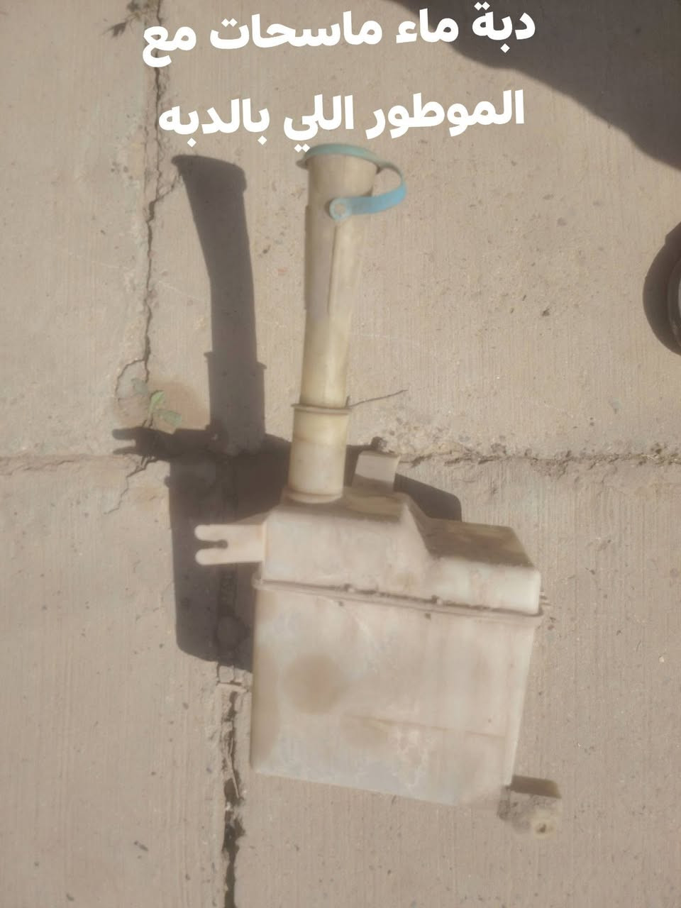 غراض دايو لكينزا 2001 داخل وخارج كلشي موجود المراسلة عالخاص


**إذا كنت صاحب هذا الإعلان وتريد حذفه لأي سبب، رجاءا أرسل رسالة إلى الدعم الفني**