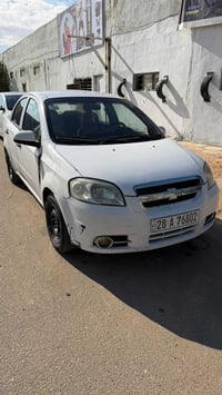 افيو • ٢٠١٠ • النجف الاشرف