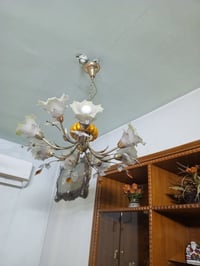 عندي هاي الثريات عدد اثنين اريدهن 250 وبيهن مجال.           0782713809...