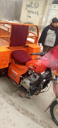 ستوتة ليفان • اوراق اصولي • القرنة