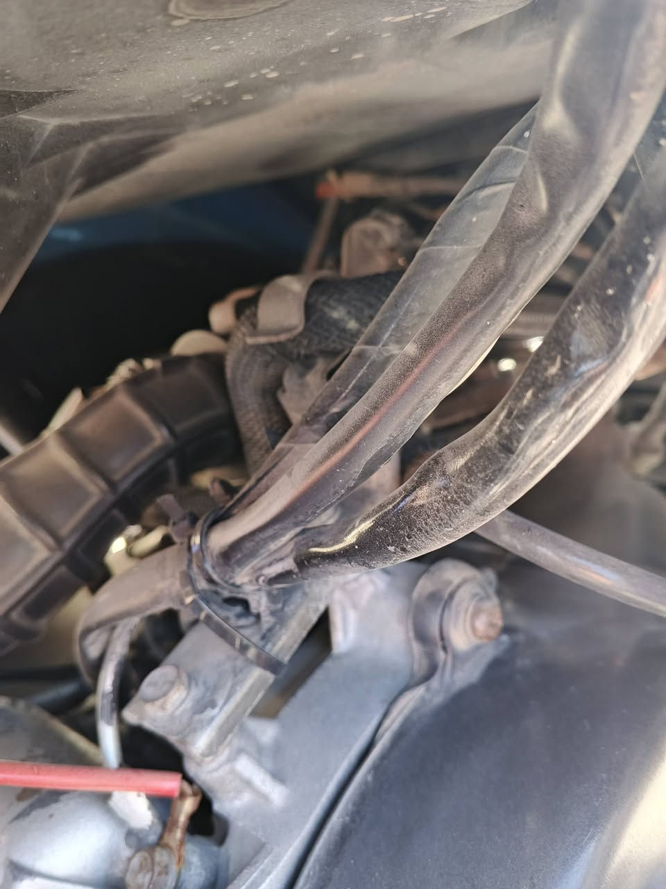 السلام عليكم شباب..
جي تي ار ياماها ياباني اصلي مكينه 125
ماشيه 24 حقيقي مكينه ناعمه غراض بلاد لا مفتوح ولا مجفت
النظافه مثل متشوف تعال وافحص وگلب براحتك
السعر ٨٠٠ الف وبيها مجال حك جيتك...رقمي ***********
