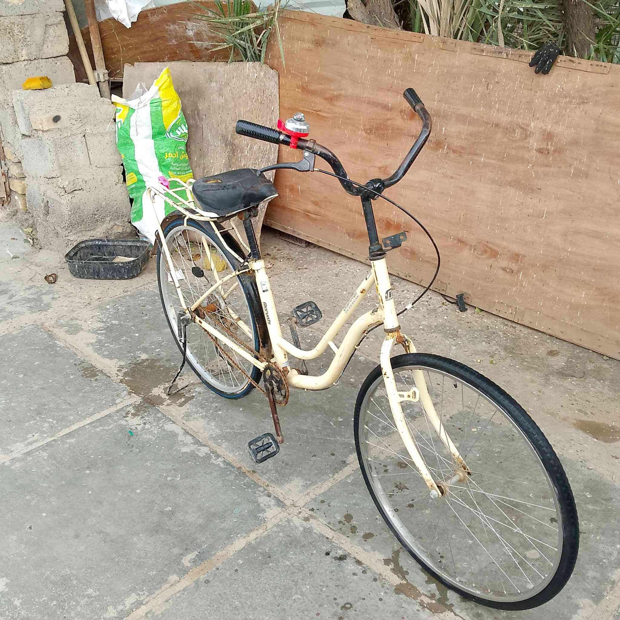 متاح بايسكل حجمه 26 السعر 40


**إذا كنت صاحب هذا الإعلان وتريد حذفه لأي سبب، رجاءا أرسل رسالة إلى الدعم الفني**