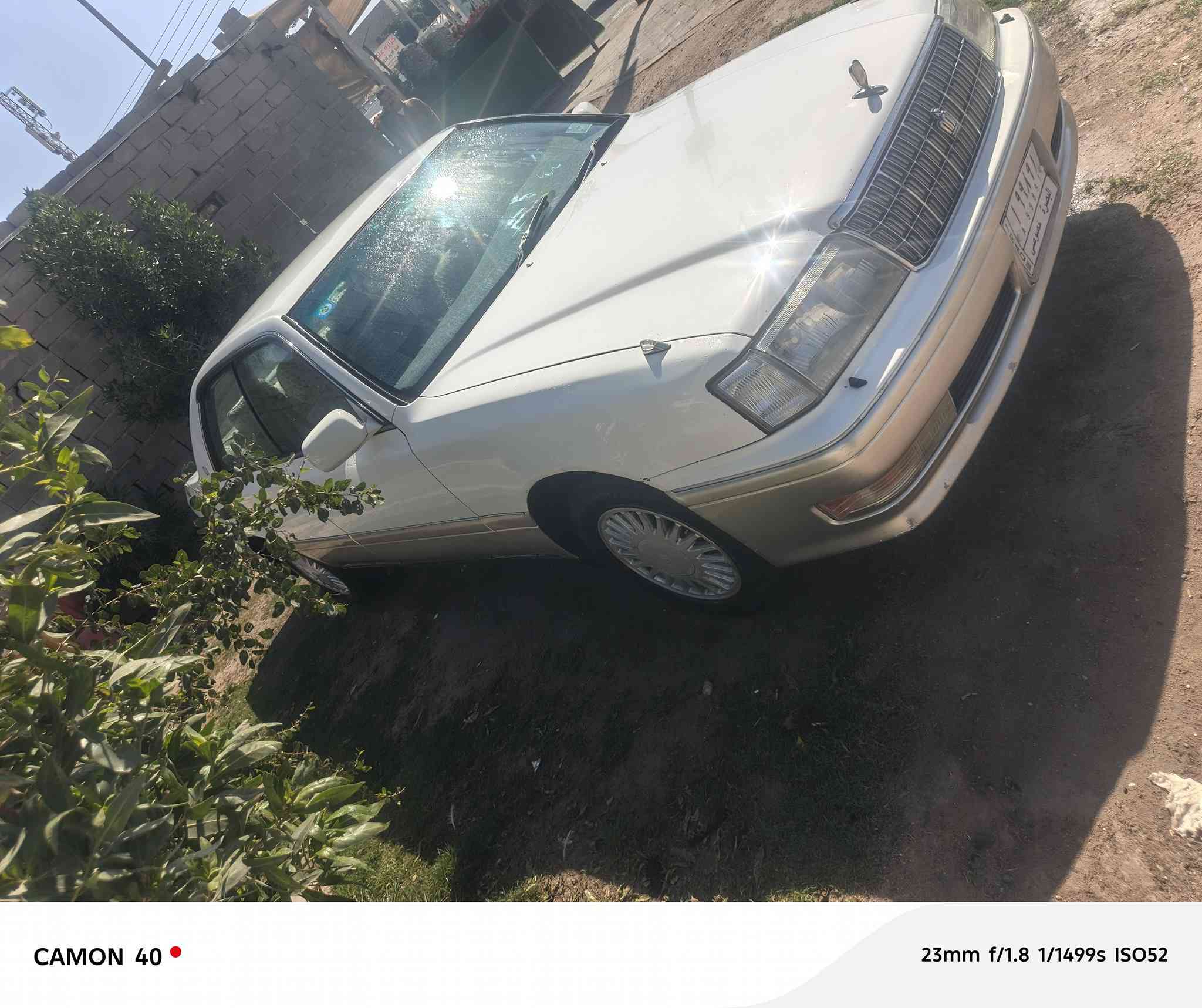 سلام عليكم 
رأس ثور مكفول كص ونغل وضربه قويه 
صبغ مكانات رقم بصره سنويه ٢٠٢٨راعيها جاري 
مكينه كير حداده تخم تاير جديد تبريد ثلج شاشه كهربائيات عامه شغاله 79 وبيها مجال 
ارضيه جلد 
مراوس ترهم 
العنوان البصره الزبير المربد القديم
***********
