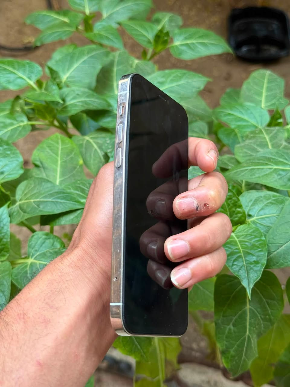 ايفون 12 برو (فقط)
ذاكره 💾128
بطاريه 🔋 100 مبدله قطارة
مبدل شاشه + السيمكرت مايشتغل
النظافة كدام العين
السعر 190 وبي مجال والشراي يتفضل خاص


**إذا كنت صاحب هذا الإعلان وتريد حذفه لأي سبب، رجاءا أرسل رسالة إلى الدعم الفني**