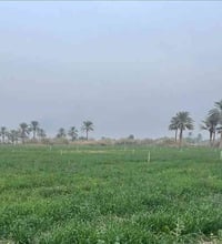 أرض زراعي • طابو ملك • بغداد المداين التويثه