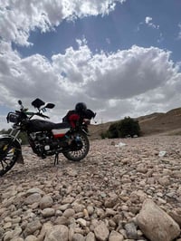 موديل ٢٥ • مكفوله • دلي عباس