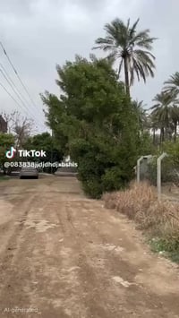 المدائن التويثة • دونمين طابو • بيت ٣٥٠م