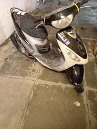 ماكس منغولي • نواعم • نقص