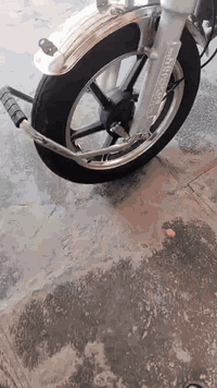 سلام عليكم ستوته جمره المعرض البلاال  مگمركه كامله ستوته كلهه 2024 بس المكينه 23   اكفلهه الترقيم  السعر 2600 وبيهه مجال بصيط العنوان بغداد نهروان ***********
