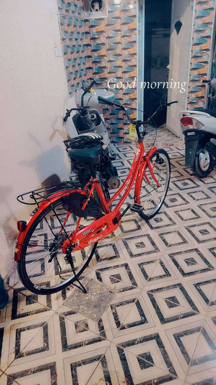 باسكل شركه سانتوس موديل 21 سعر 110


**إذا كنت صاحب هذا الإعلان وتريد حذفه لأي سبب، رجاءا أرسل رسالة إلى الدعم الفني**