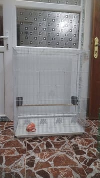 ٢ قفاص • كبار • نضيفات