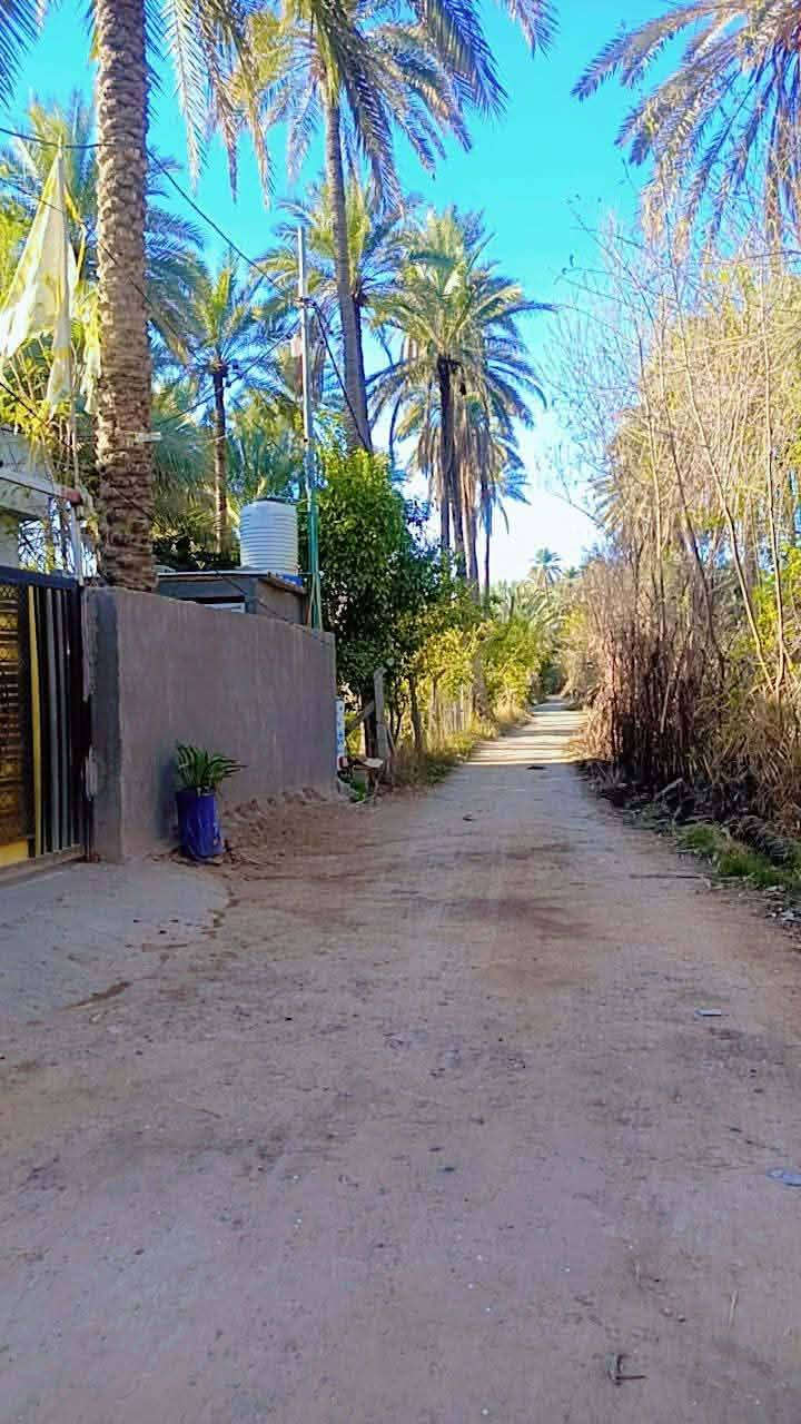 قطعه بمساحة 550متر سند 25 فلاحه
تحتوي ع دار حديث بمساحة 125متر يتكون من غرفتين نوم مع صاله واستقبال ومطبخ ومجاميع صحيه عدد 2 مع حديقه وكراج سياره بسعر90 قابل للتفاوض في الحسينيه  منطقه العسافيات قرب سوق العطيشي


**إذا كنت صاحب هذا الإعلان وتريد حذفه لأي سبب، رجاءا أرسل رسالة إلى الدعم الفني**