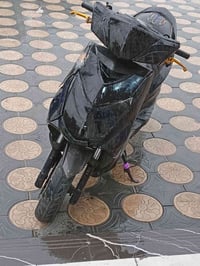 سكنس فحل • رياضي • تعليك