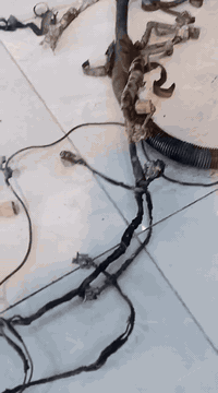 موقعنه جديد بغداد الدوره شارع الوادي 
الحمد لله تم تسليك ضفيرة اخونه من الديوانيه الحبيبه 

رافد العكيدي 
***********
***********
