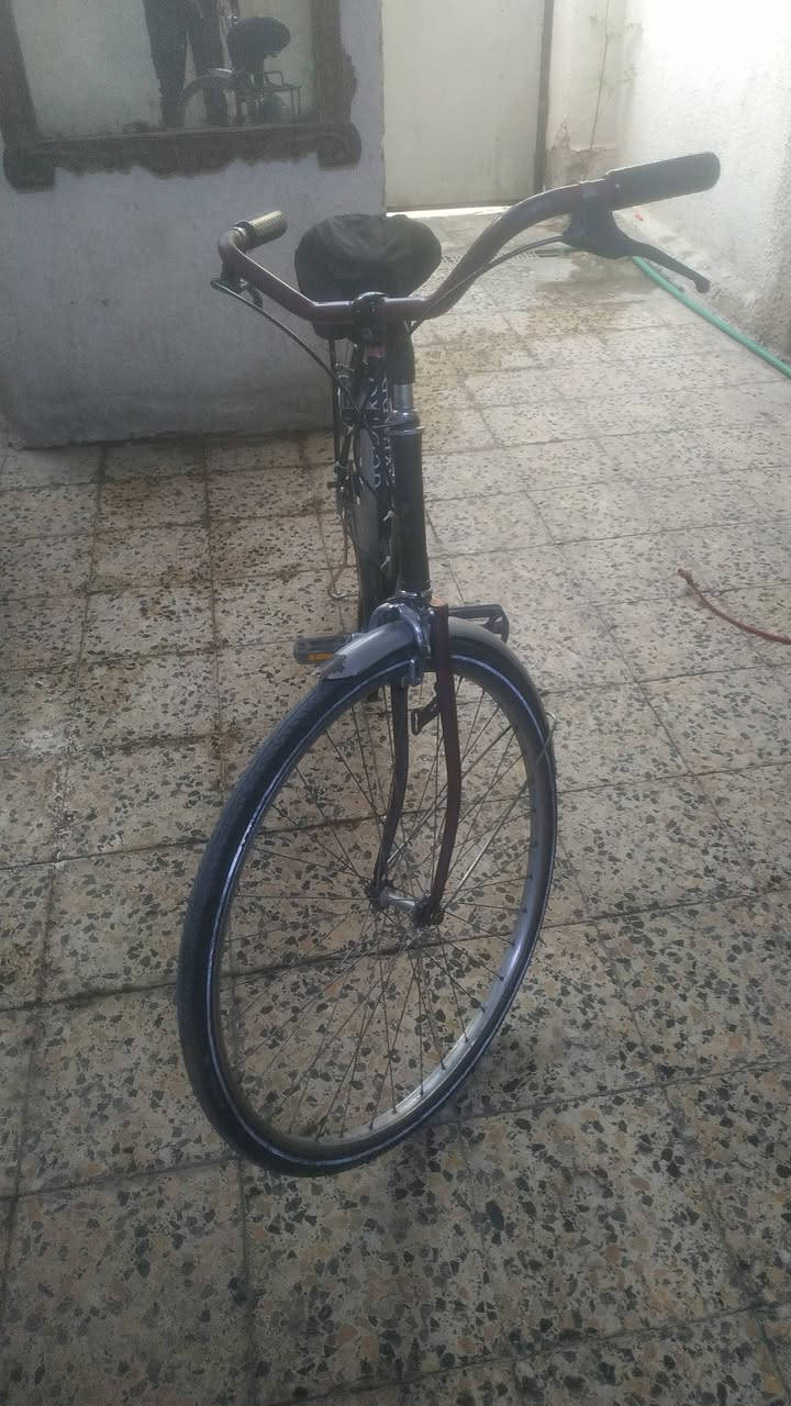 السلام عليكم اخوان بايسكل بناتي للبيع نضيف كلش جاهز السعر 70وبي مجال الشعب شارع الصحة ***********
