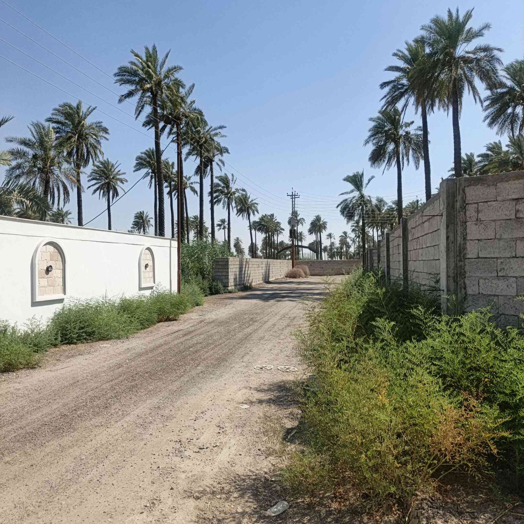 يالله سلام عليكم
دونم طابو سند ٢٥ملك صرف
مشجر بالكامل نخل مسيج 
خدمات كامله كهرباء تبليط ماء أسأله وسقي 
موقع بالكامل مزارع وشاليهات
قريب على نهر دجلة
العنوان المداىن قرب شارع سيد علي
للاستفسار الاتصال على ***********
