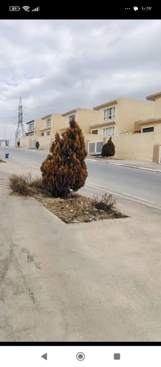 بيت للبيع مجمع كاني ستي غرفتين نوم وصاله ومطبخ وصحيات طابق ونص 200متر سعرها 4دفاتر 75ورقه***********واتساب
