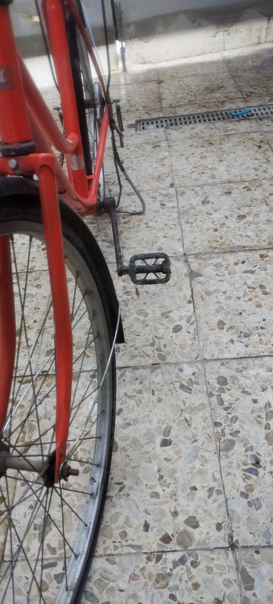 بايسكل للبيع المكان الكمالية العبيدي السعر 35


**إذا كنت صاحب هذا الإعلان وتريد حذفه لأي سبب، رجاءا أرسل رسالة إلى الدعم الفني**