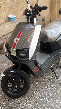 دراجة شحن • دنّة صغيرة • زعفرانية