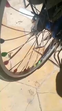 باسكلات • ٢ حبة • نضيف