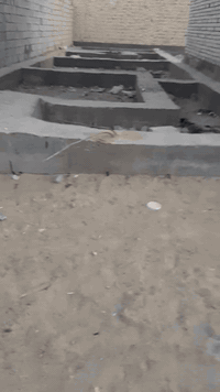 السلام عليكم عرصه للبيع او مراوس بيت سياره ماكو مشكله طابو زراعي سند ٢٥ العنوان كوفه شارع المطار الجديد مقابيل جوهرة العرب شارع المقرنص المساحه ١٠٠ 
واجه ٥ متر النزال ٢٠ متر للاتصال ***********
