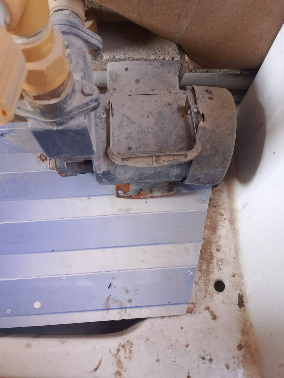 غراض بيت للبيع كلمن وسعره


**إذا كنت صاحب هذا الإعلان وتريد حذفه لأي سبب، رجاءا أرسل رسالة إلى الدعم الفني**